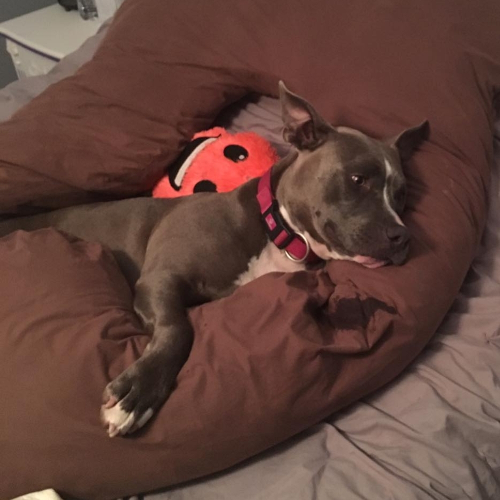 Meet your Posher, Rachel